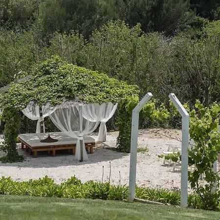 Auberge de jeunesse Surf By Laneez